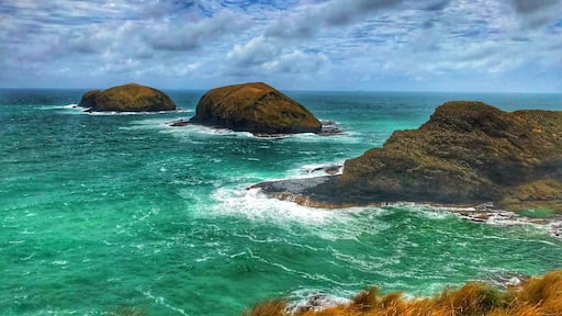 Breathing the worlds purest air. The Cape Grim station is located in the path of the Roaring Forties, which are strong westerly winds that carry pollution-free air thousands of kilometres across the Southern Ocean