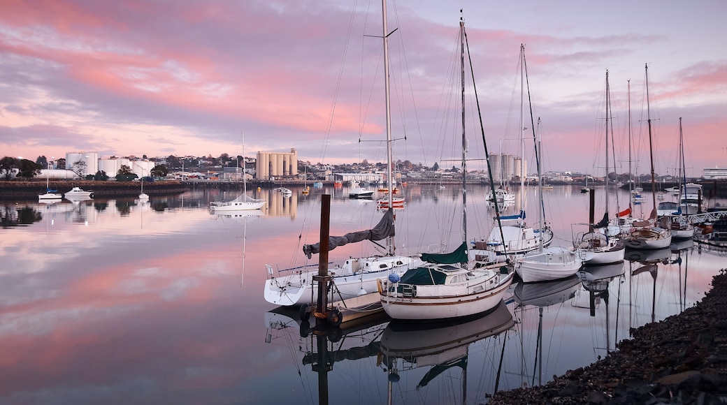 Een jachthaven met verschillende zeilboten in de haven, een rustig waterlichaam dat de lucht weerspiegelt, en een stadsgezicht op de achtergrond.