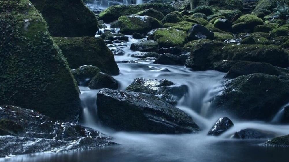 Ein Wasserfall stürzt über moosbewachsene Felsen in einem bewaldeten Gebiet.