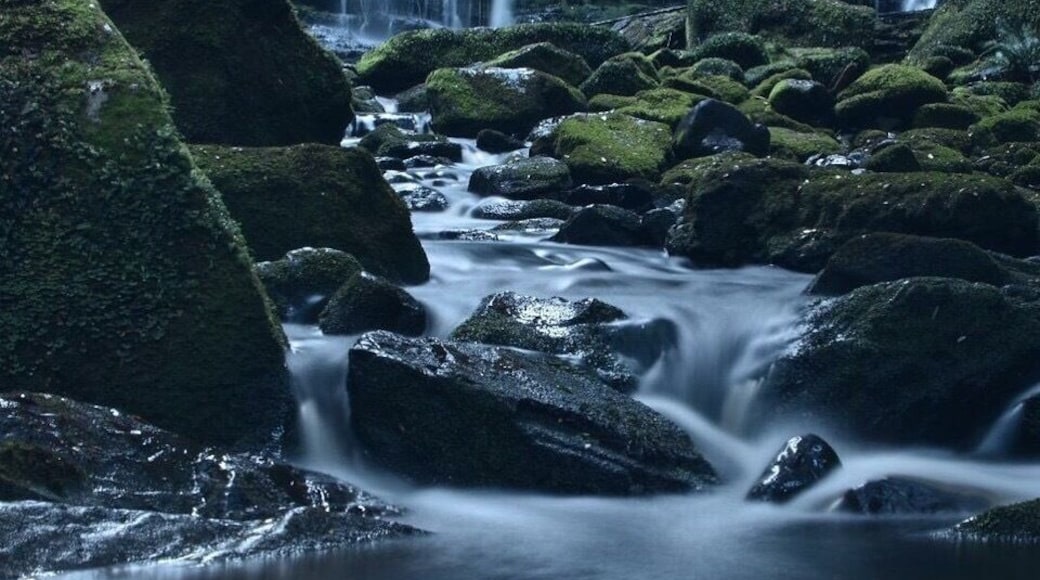 #Springfun Tasmania Neilson falls