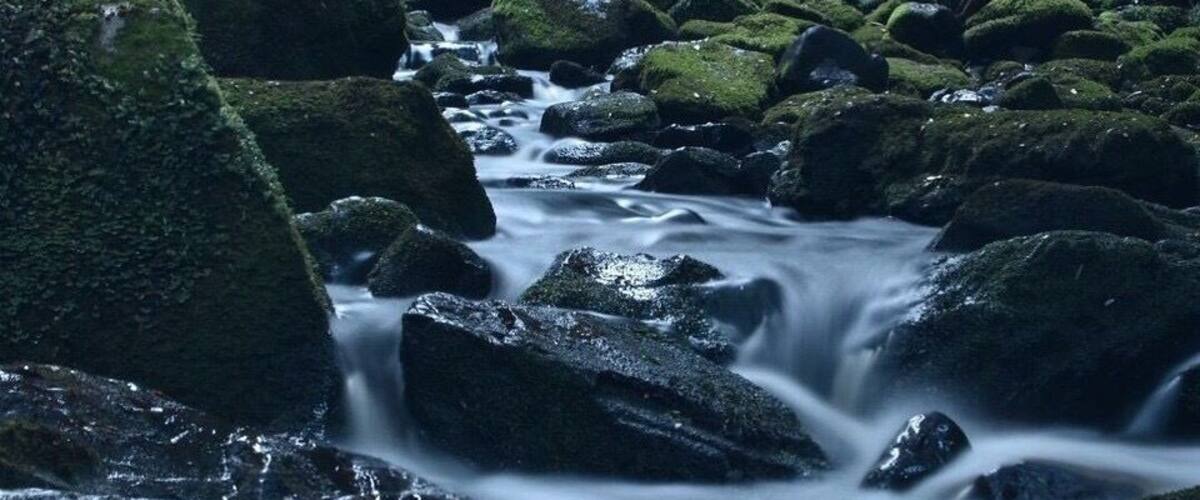 Une cascade d’eau se déversant sur des rochers couverts de mousse, dans une zone boisée.
