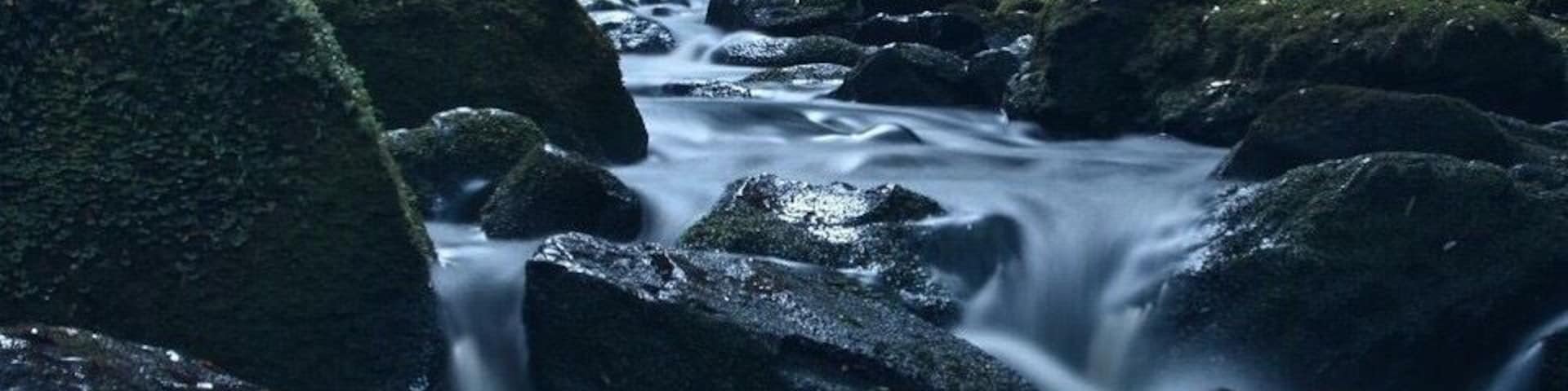 Uma cascata desce sobre rochas cobertas de musgo em uma área arborizada.