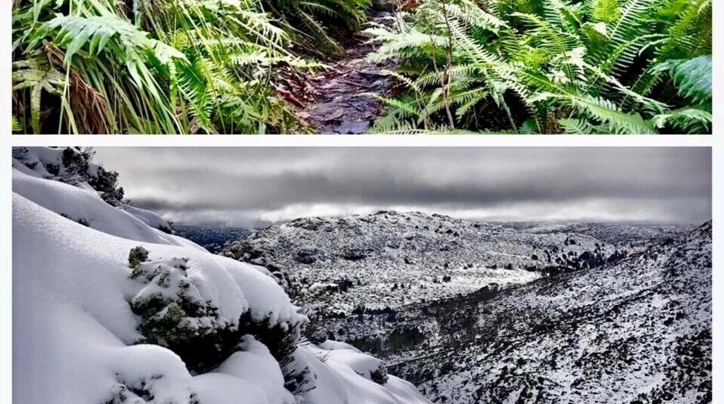 The top photo was taken near the trailhead. The bottom photo was taken just below Solomon’s Throne on the same hike. #takeahike