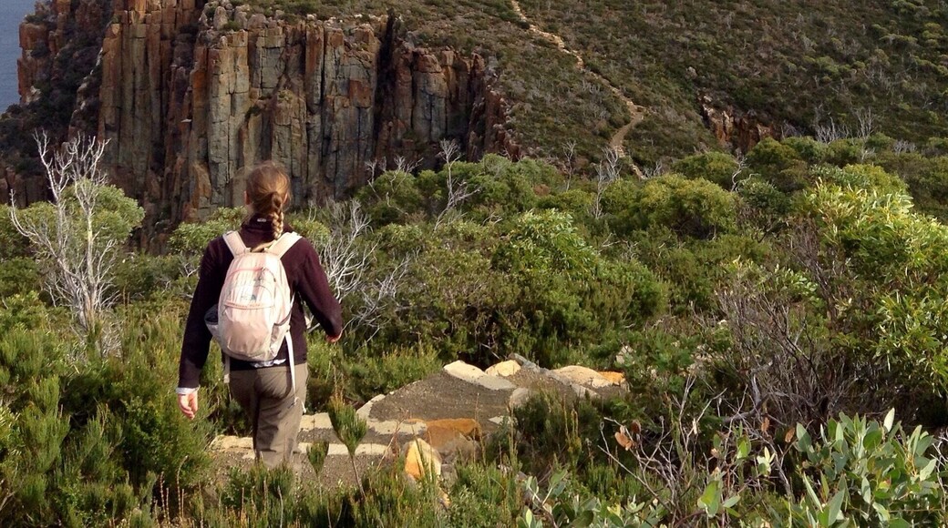 Enjoying the hike out to Cape Hauy on the Tasman Peninsula. Stunning views with some of Australia's highest sea cliffs!
Roughly 4 hour return walk from Fortesque Bay, one of Tasmania's National Parks.