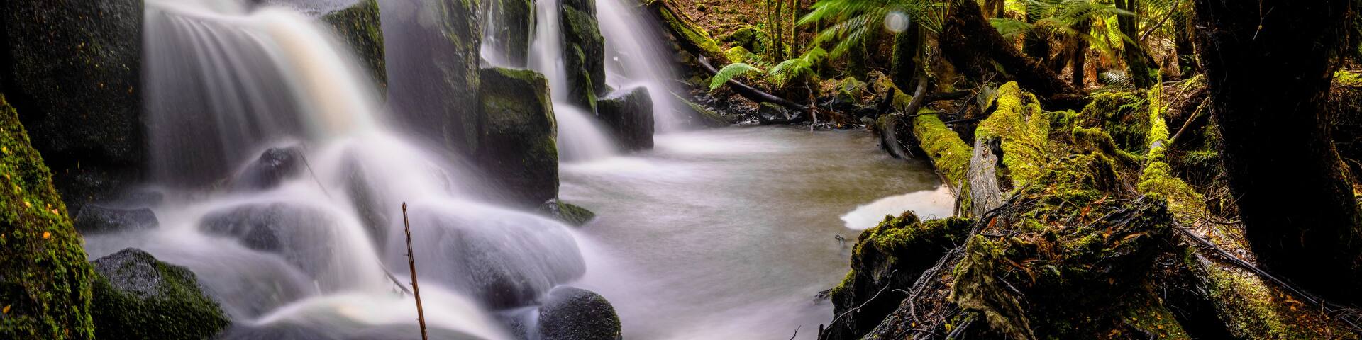 A waterfall cascading over moss-covered rocks, surrounded by dense green forest.
