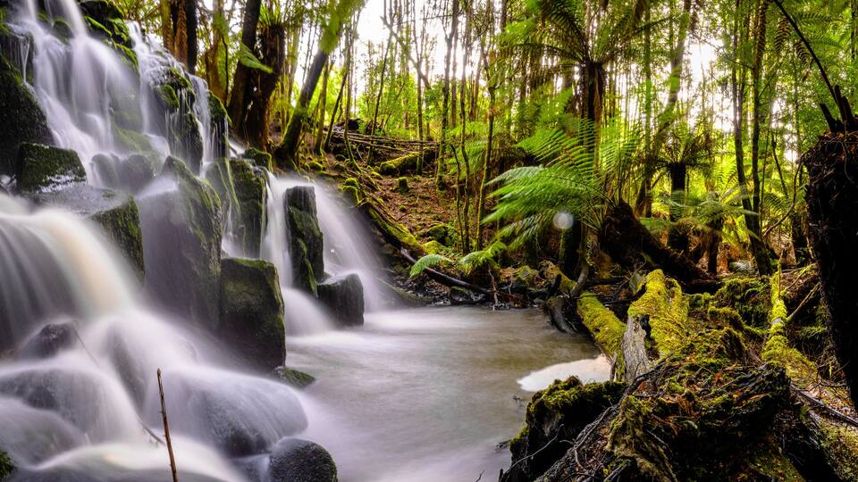 waterfall in the forest