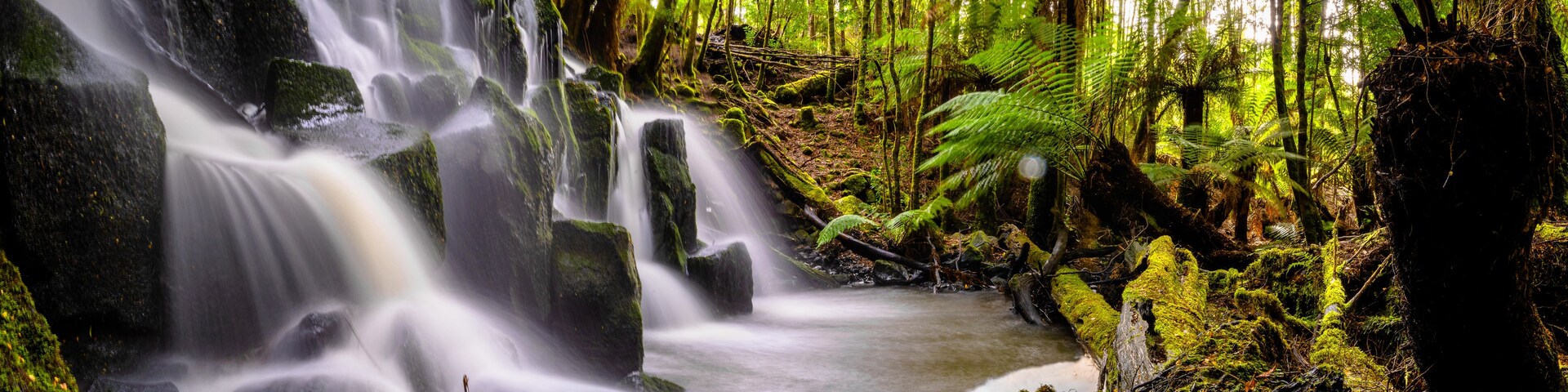 Una cascada se precipita sobre rocas cubiertas de musgo, rodeada de un denso bosque verde.