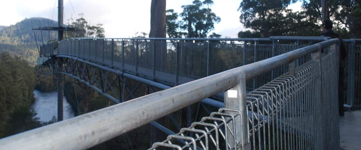 A metal bridge with a metal railing, surrounded by trees and a river.