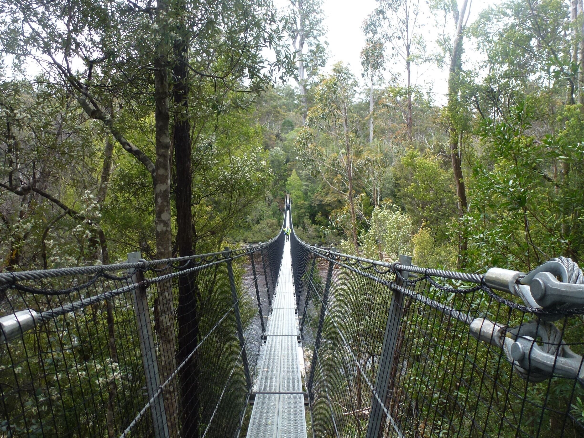 Remote and peaceful up in the trees