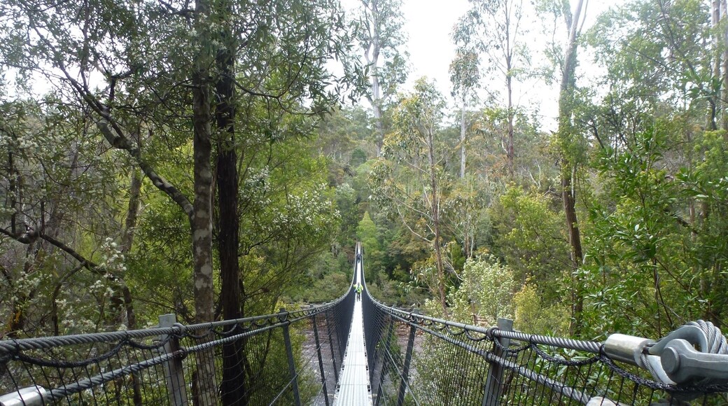 Remote and peaceful up in the trees