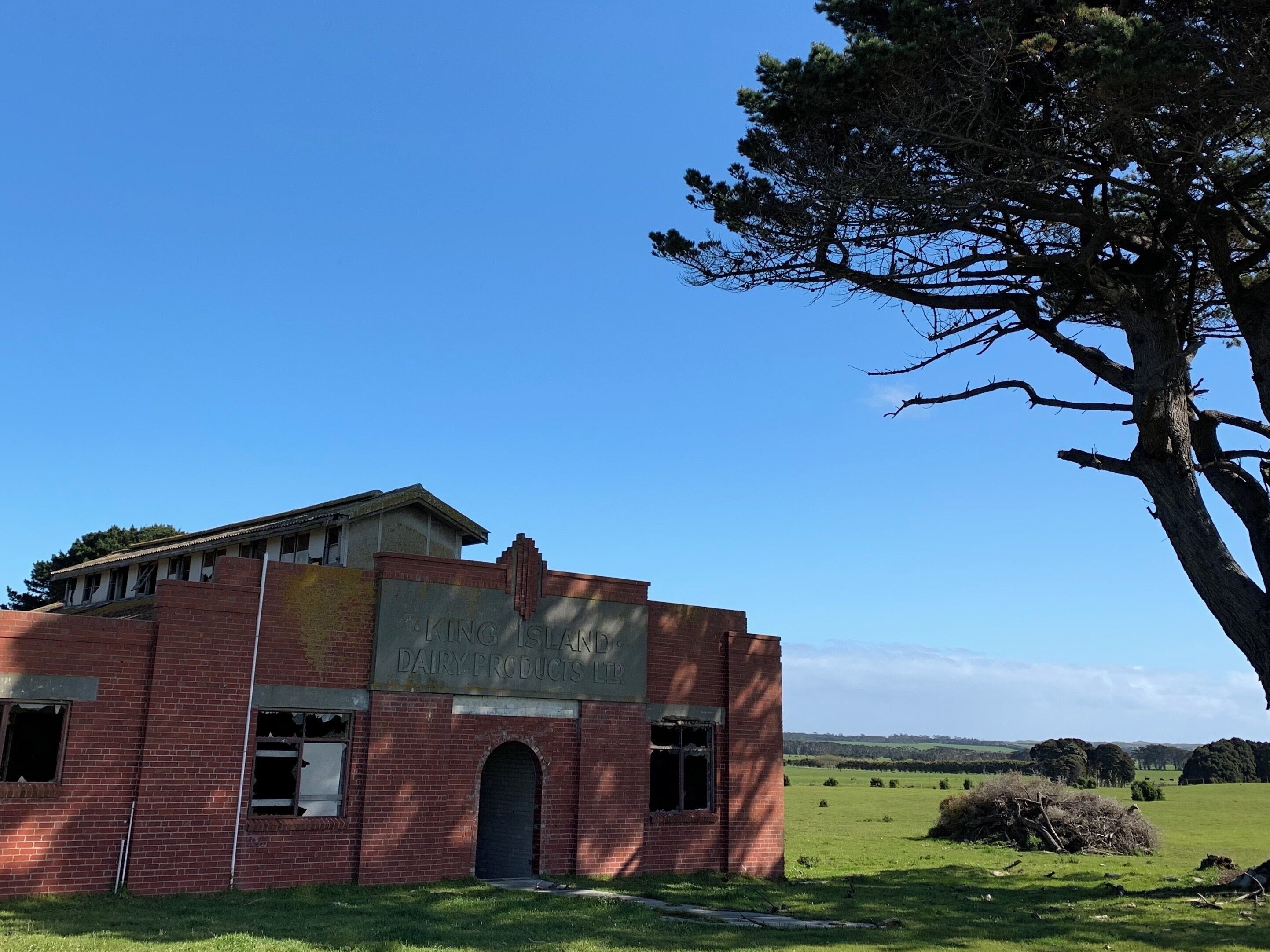 A dilapidated brick building with a sign reading "King Island Dairy Products Ltd." in a rural setting with a large tree and open fields.