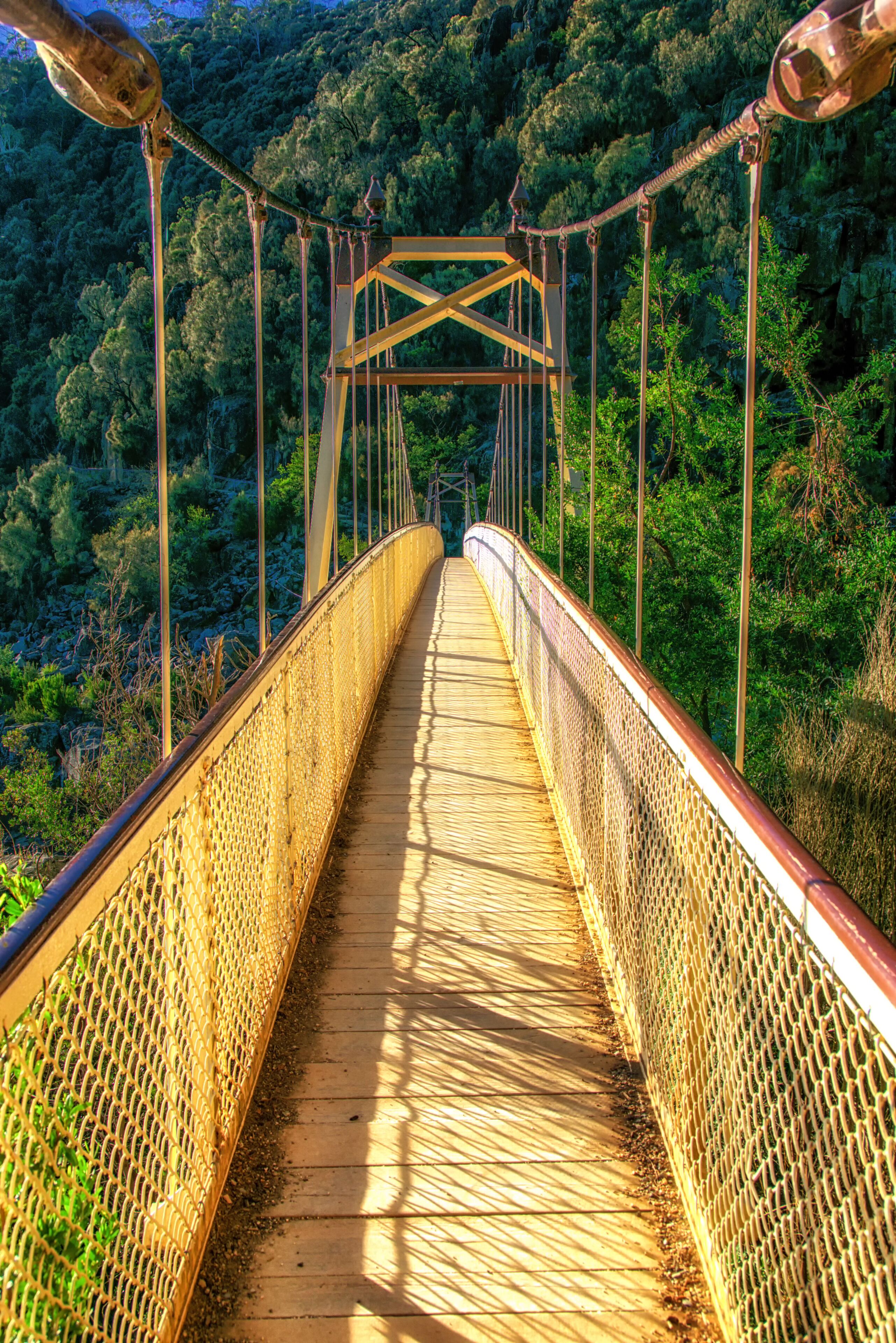 Footbridge over the Cataract Gorge