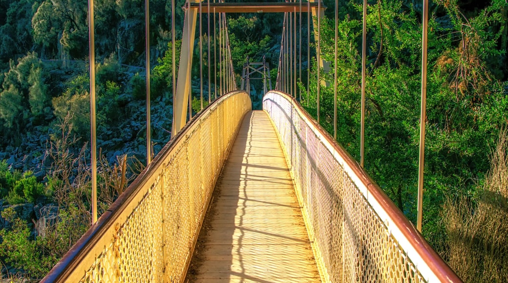 East Launceston