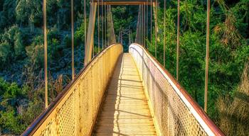 Footbridge over the Cataract Gorge