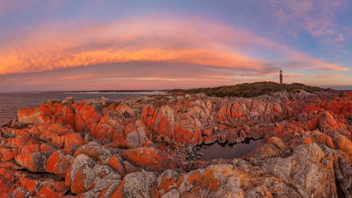 Beautiful sunrise over the magnificent, Eddystone Point Lighthouse. Situated within Mount William National Park. Part of the Bay of Fires Conservation Area. North Eastern Tasmania, Australia.