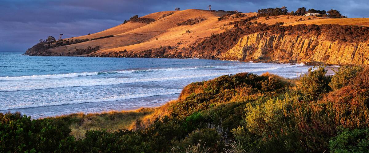 A coastal landscape with rolling hills, a beach, and a cliff overlooking the ocean.