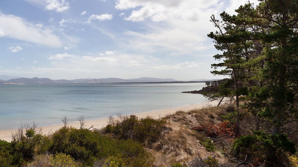View of the coastline along the Derwent River at Opposum Bay