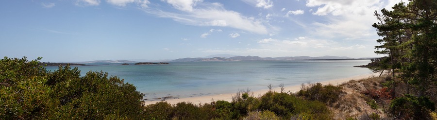 View of the coastline along the Derwent River at Opposum Bay