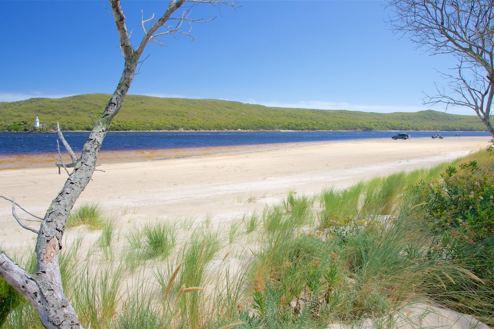 A beach with a clear view of the water, a sandy shore, and green hills in the background.