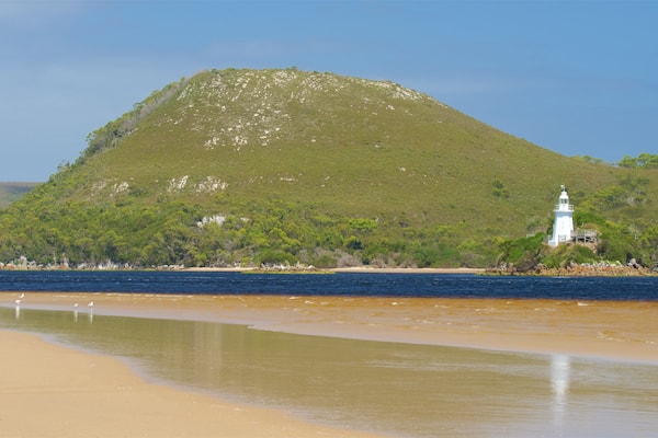 A beach with a white lighthouse on a green hill.