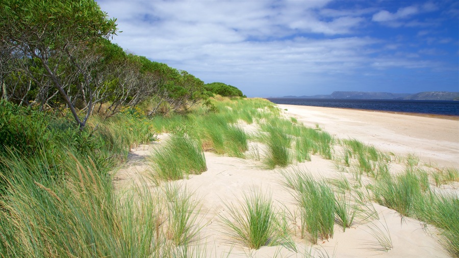 West Coast Tasmania