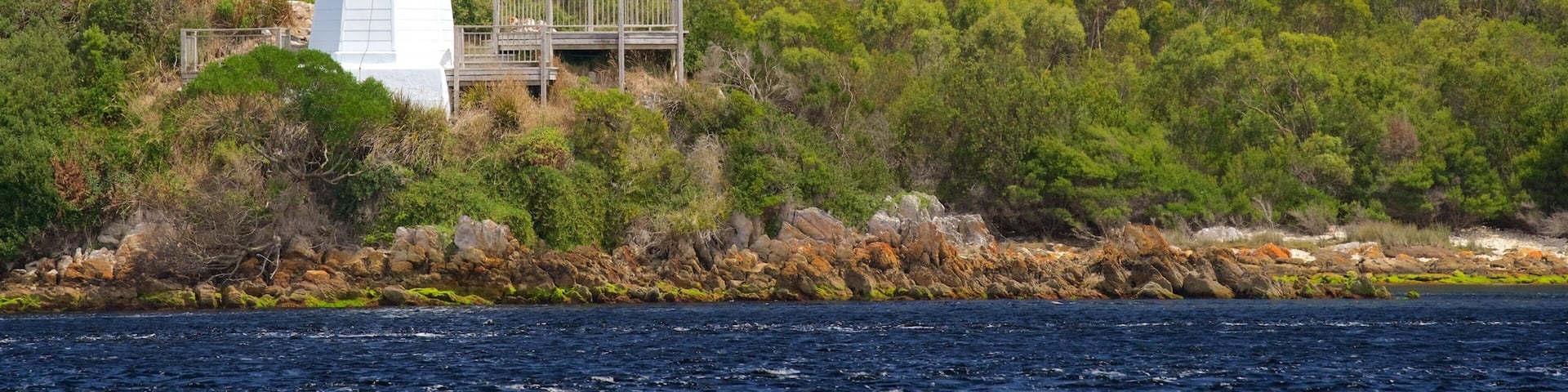 A white lighthouse with a platform and railing, surrounded by dense green forest and rocky coastline.