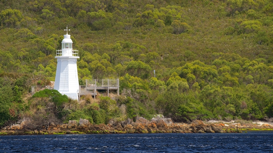 A white lighthouse with a platform and railing, surrounded by dense green forest and rocky coastline.