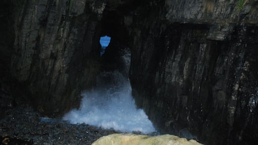 We loved seeing the Remarkable Cave on the way back from Port Arthur. The water was pretty choppy. Everytime it hit a rock, or a cliff, there would be a huge splash.
People are able to go down steps to see the water rush in at the Cave itself. Apparently, the water pressure can get so strong that it caused the roof to collapse. Technically, it is no longer a cave. It´s a tunnel. #localgems