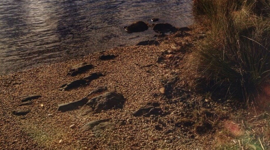 At high tide this is a great, safe place to swim. Turn onto the gravel road on the east side of the Detention River bridge, opposite the service station and take away shop.