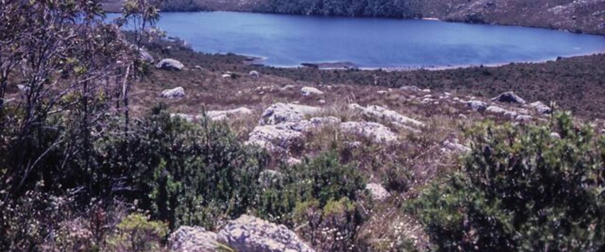Lake Julia  on the West Coast of Tasmania, Australia. 
No piers, boats, hot-dogs stands or any human dwellings. Just a glacial lake in the wilderness of the West Coast of Tasmania.
It has a beach on which you can camp. Please take all your rubbish with you when you leave.