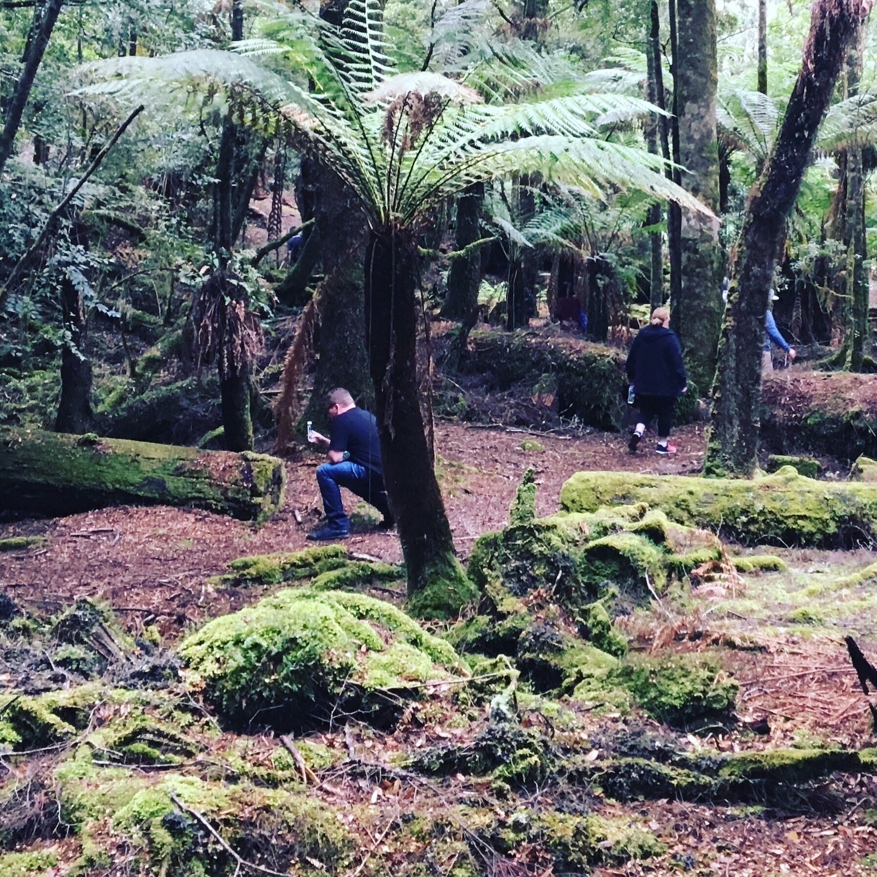 Un bosque con un hombre sentado sobre un tronco cubierto de musgo, otra persona caminando al fondo, helechos y árboles a su alrededor.