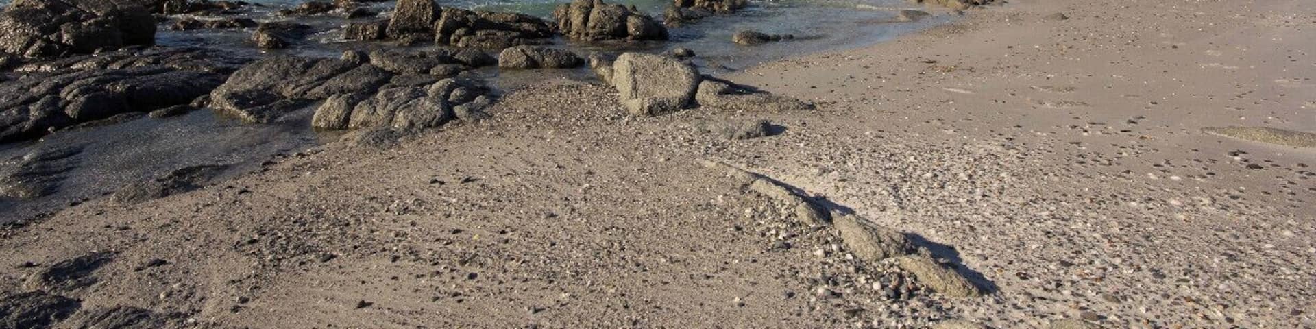 We even saw a pod of dolphins swimming past!