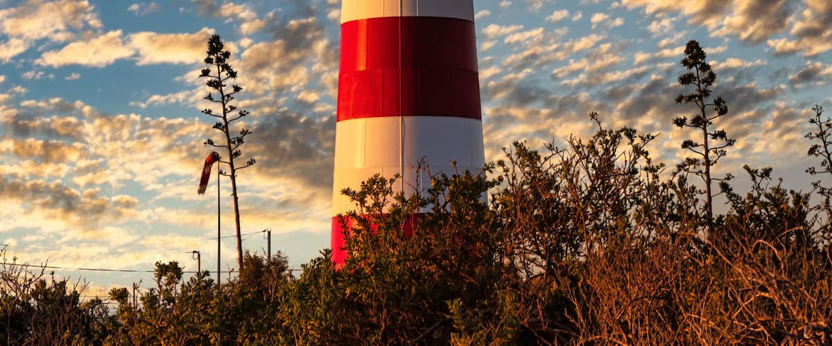 A tall red and white lighthouse with a weather vane on top, surrounded by dense shrubbery and under a partly cloudy sky.