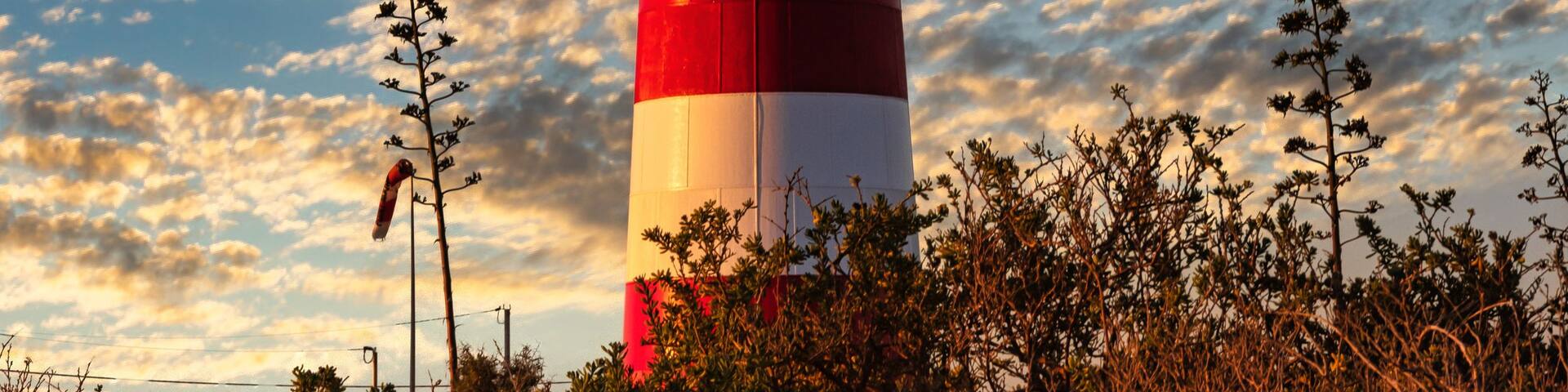 A tall red and white lighthouse with a weather vane on top, surrounded by dense shrubbery and under a partly cloudy sky.