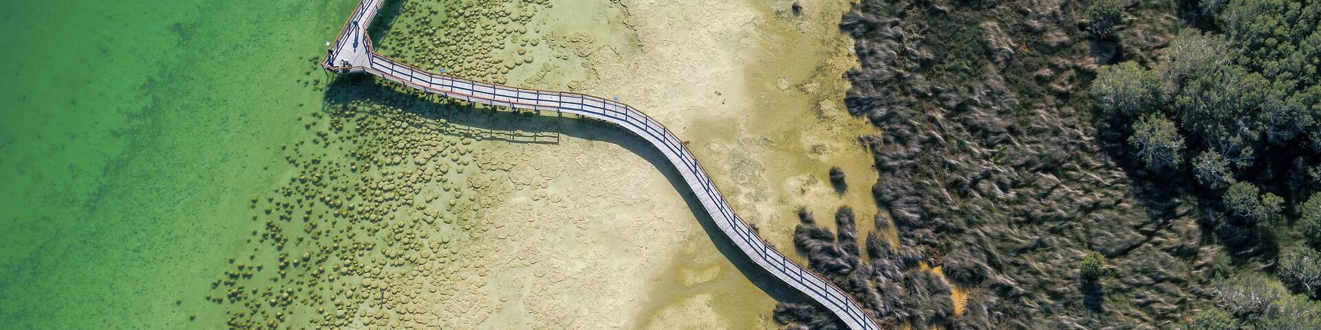 An aerial view of a curved bridge over a shallow, rocky water body with clear green water, leading to a forested area.