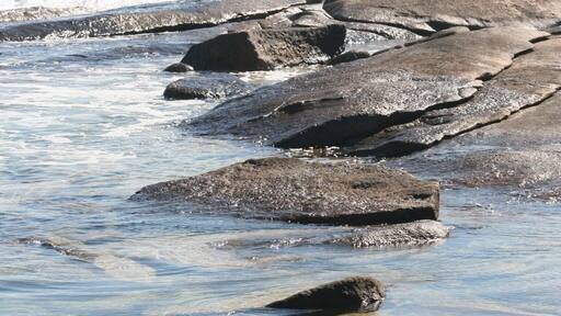 4x4 on the beach from Alexander Bay.