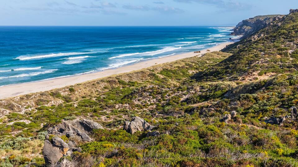 Salmon Beach Lookout, Pacific Ocean, Australia