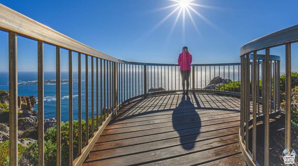 โOh, but these are the days we dream about when the sunlight paints us goldโ. ๐
#cherryontheworld #australia #windyharbour #trover #wa #travel #photography
#seaside
#nationalpark