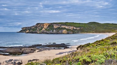 Coastal scenery: bay with deserted beach and high limestone cliffs. Cathedral Rock Beach, Windy Harbour, shire of Manjimup, south coast of Western Australia