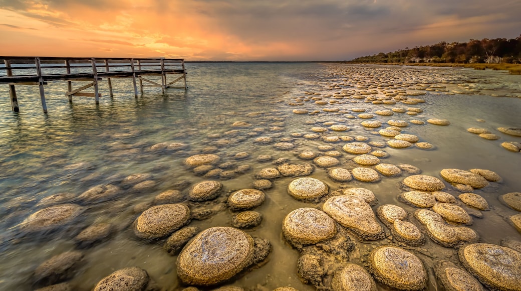 A rocky shoreline with a wooden pier extending into calm waters.