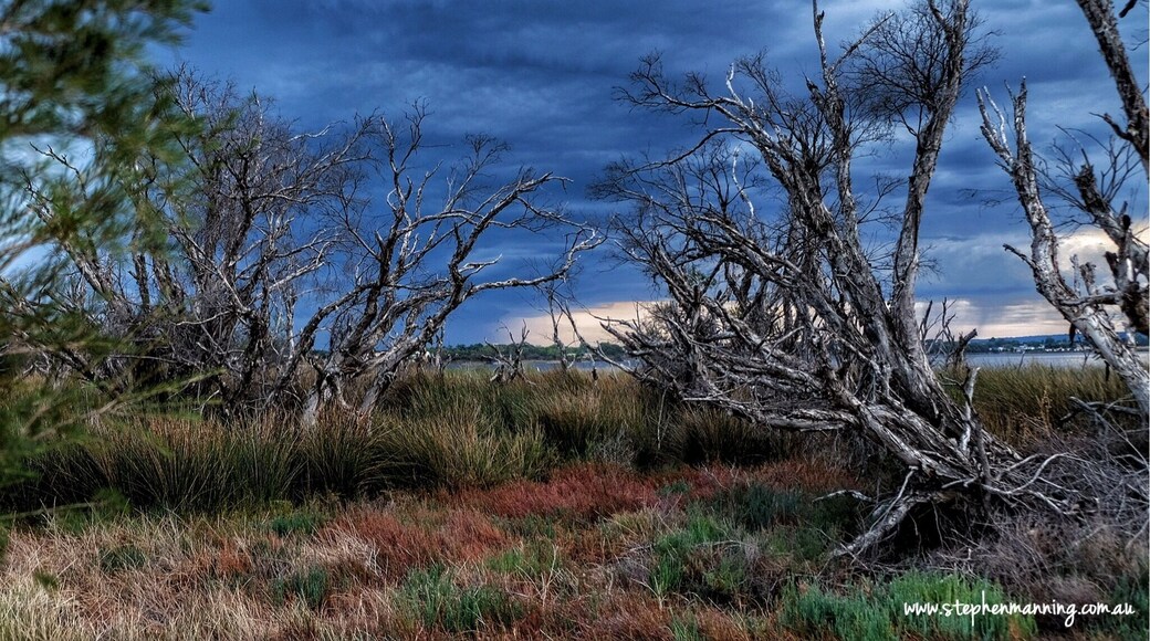 The early morning calm was broken by intermittent flash of the lightning. A few seconds later the thunder rolled in over me like a ocean wave breaking, echoing back off the surrounding buildings. The thunderstorm with its dark grey angry clouds swept across the sky towards the distance hills.