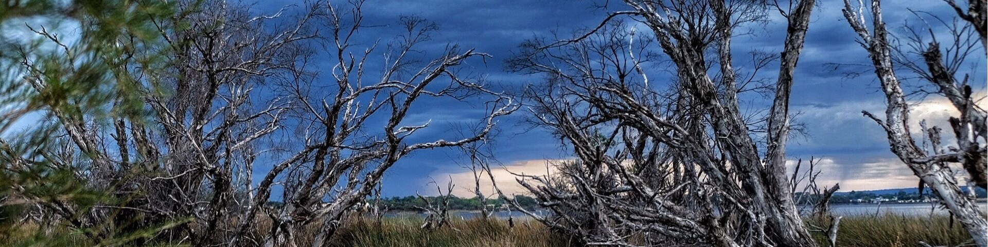 The early morning calm was broken by intermittent flash of the lightning. A few seconds later the thunder rolled in over me like a ocean wave breaking, echoing back off the surrounding buildings. The thunderstorm with its dark grey angry clouds swept across the sky towards the distance hills.