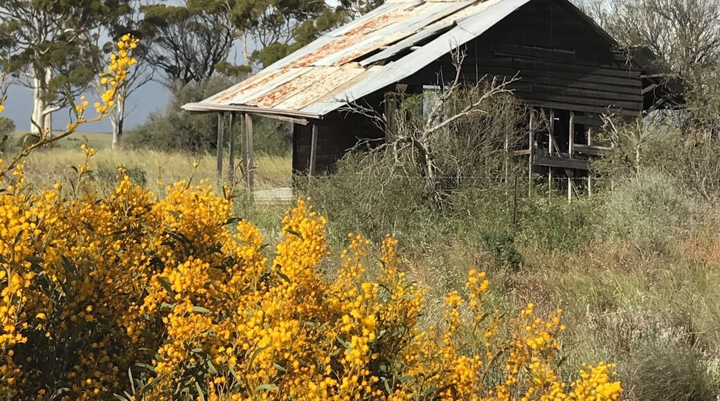 #historycompetion Abandoned farmhouse
