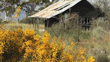 #historycompetion Abandoned farmhouse