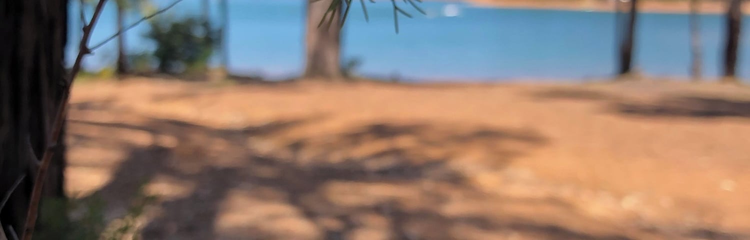 Beautiful free campsite on the western edge of the dam, nestled in the trees. Popular with water skiers, walk and cycle trail around the edge as well. Spotted several different native orchids including this sun orchid #MyBackyard