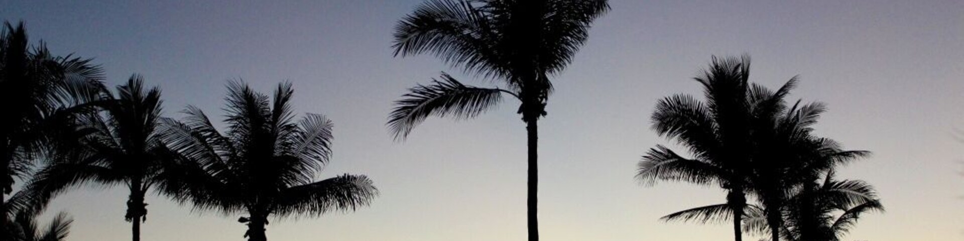 A sunset to remember. Highly recommend spending a night at Cable Beach, bring a picnic and a partner.
