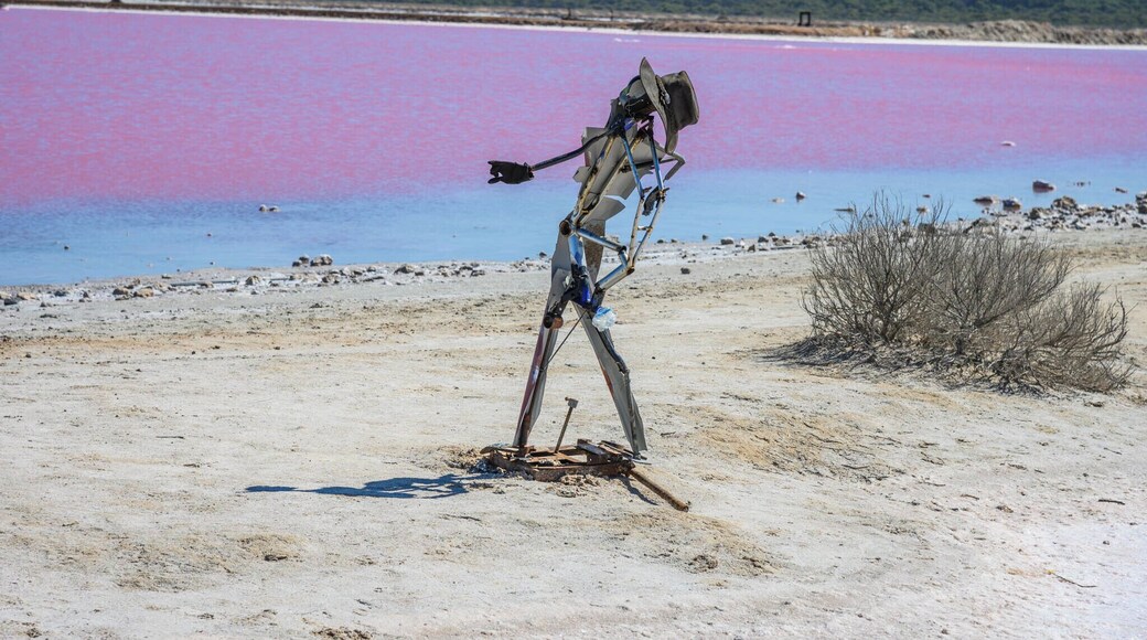 The poor fella must be getting tired pointing to the pink salt lake situated just outside of Port Gregory.