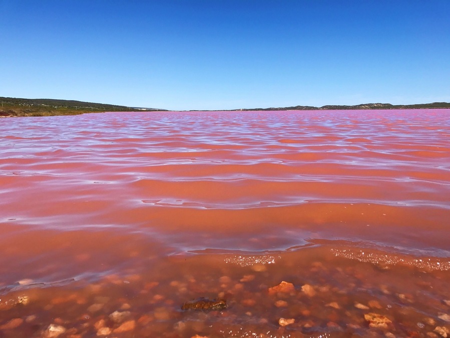 Pink lake!!!💕