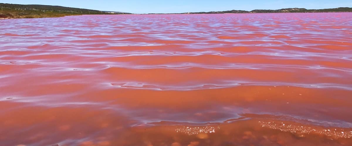 A vast body of water with a reddish hue, surrounded by a flat landscape and a clear blue sky.