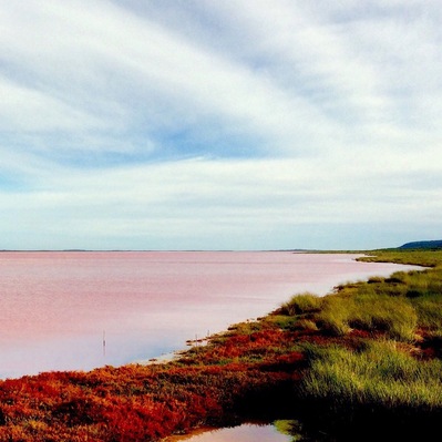 #waterlust pink lake near Kalbarri, 6 hours away from perth, Western Australia.